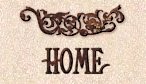 Home button