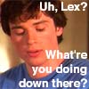 uh, lex? what're you doing down there?