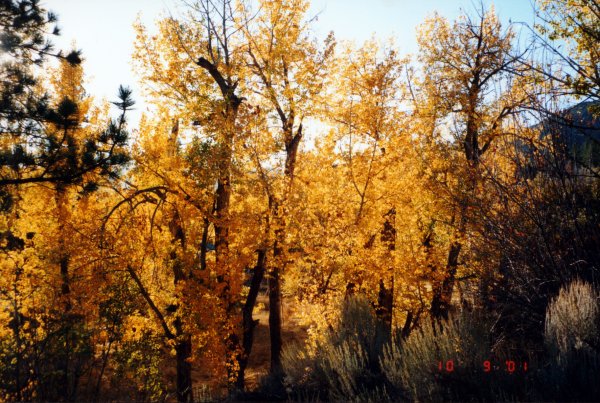 Herbst in Lake Tahoe