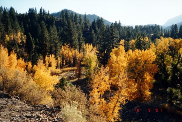 Herbst in Lake Tahoe