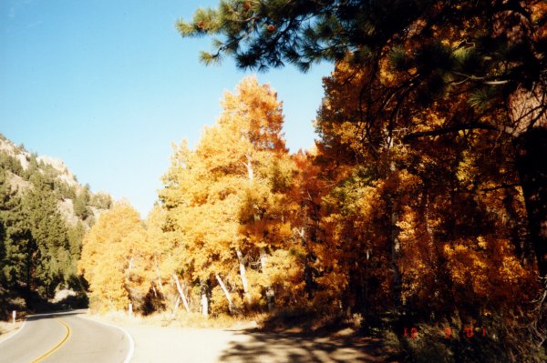 Herbst in Lake Tahoe