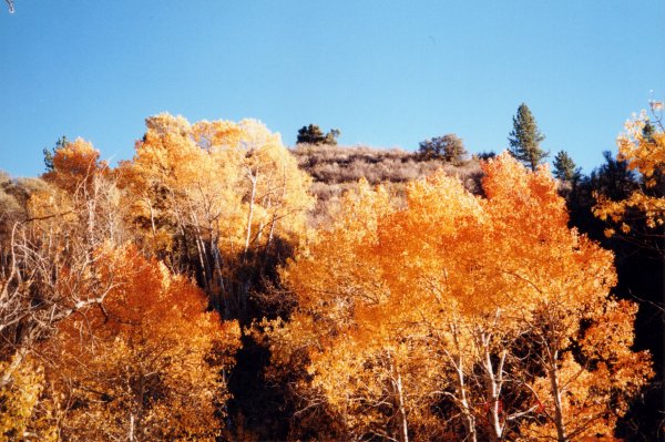 Herbst in Lake Tahoe