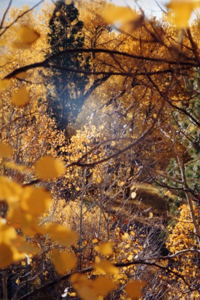 Herbst in Lake Tahoe