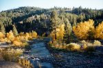 fall