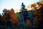 fall