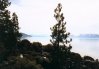 Sand Harbor