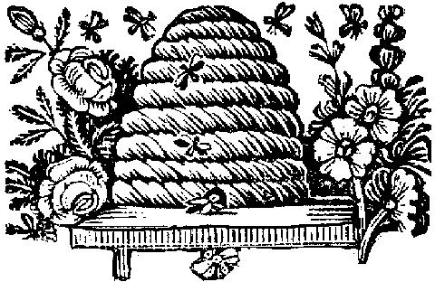 Beehive