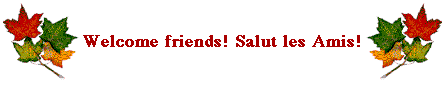 Welcome Friends! Salut les Amis!
