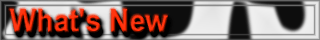 Whats new