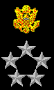 gold eagle & 5 silver stars in a circle