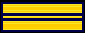 2 gold stripes