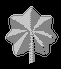 silver oak leaf