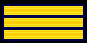 3 gold stripes