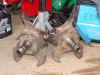 FinishedKnuckles.jpg (39014 bytes)