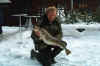 kim030111a.jpg (45651 byte)