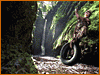 Nick TV Spot