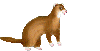 Casanova frankenstein, our lovely new pet weasel is patrolling these pages. But don't worry , he's very easily distracted.