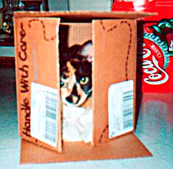 Skye-box!