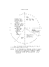 s_lee30.gif (9637 bytes)