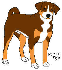 Mr. Big just won BOB in his first show ever, the December 10, 2006 Appenzell Cattledog Show at the NCC Sennenhund Breed Club!!