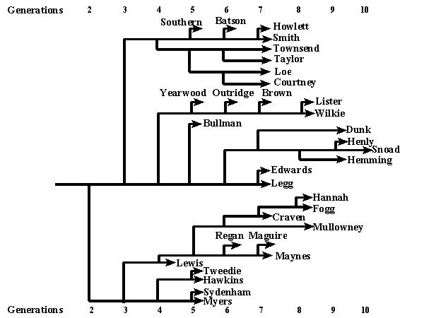 Family Tree Graphic