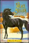 The-Black-Stallion