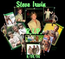 Please go here and support Steve Irwin's Wild Life Warriors. Animal conservation is a cause I believe in : )