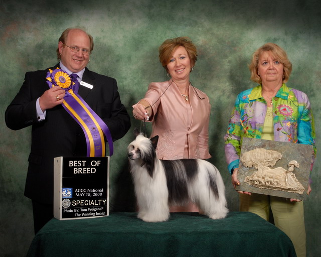 NSBIS 2008