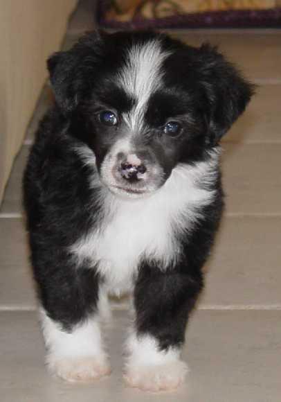 5wks