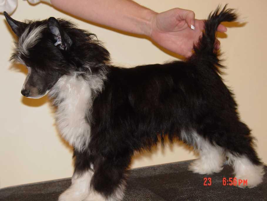 12wks