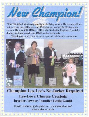 New Champion