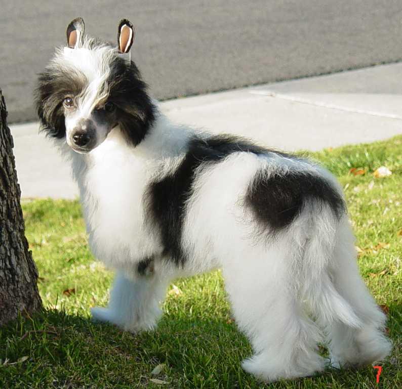 16 weeks