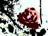 photo of flower converted to an abstract image