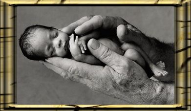 baby in hand