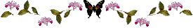 divider