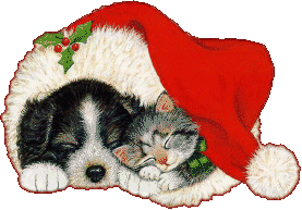 puppy and kitten sleeping