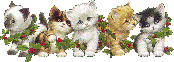 kittens and holly