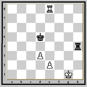  "Hmmm. Maybe I'll shove my e-pawn up TWO squares," thinks White. "That will  put Black's King in CHECK!"  