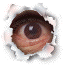 Hontou ni, supai zya nai yo!