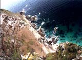 cape of good hope