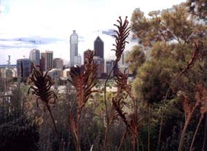 perth