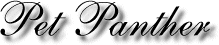 Pet Panther