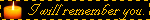 I Will Remeber You