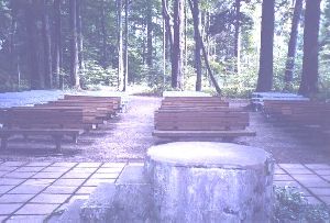 Benches Near Inspiration Stump