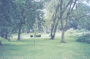 Lily Dale Park Near Maplewood