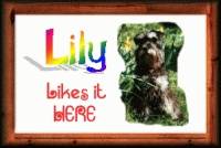 lilaward3.gif (15103 bytes)