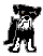lily1smg.gif (389 bytes)