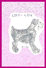 wpe80.gif (15284 bytes)