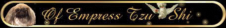 Pekenese Of Empress Tzu Shi