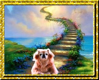 Toeti's Page